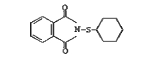 N-Cyclohexy(thio) phthalimide 